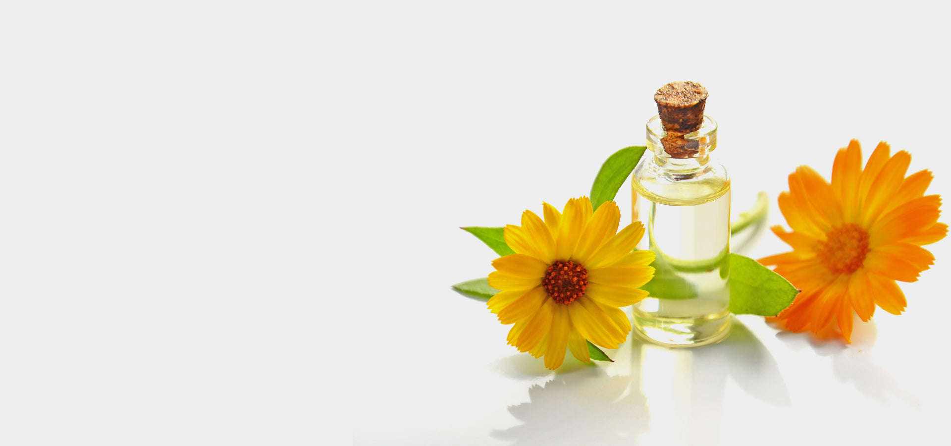 Ocean Drift - Image 3